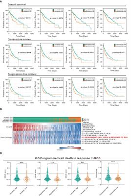 In Vitro Cell Density Determines the Sensitivity of Hepatocarcinoma Cells to Ascorbate